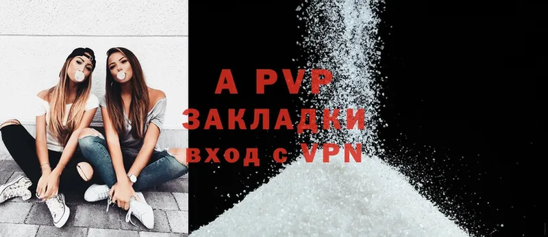 A PVP СК  Пушкино 