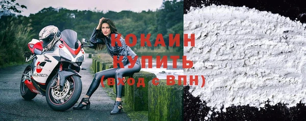 гидра Кулебаки