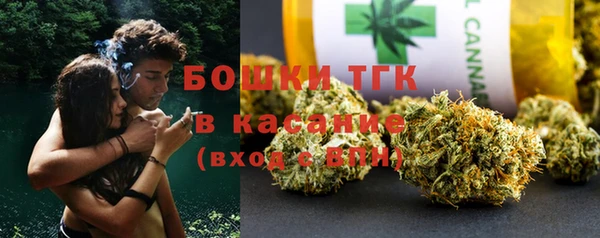 гидра Кулебаки