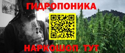 прущие грибы Волгодонск