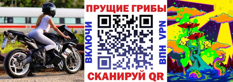 Псилоцибиновые грибы прущие грибы  продажа наркотиков  darknet клад  Пушкино 