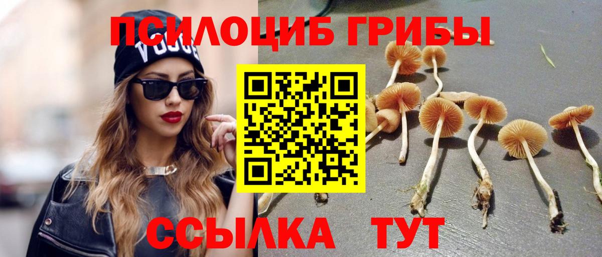 Псилоцибиновые грибы Psilocybe Пушкино