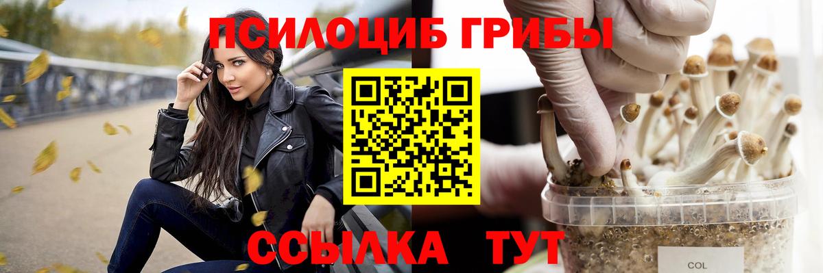 Галлюциногенные грибы Psilocybine cubensis  Псилоцибиновые грибы GOLDEN TEACHER  Пушкино 