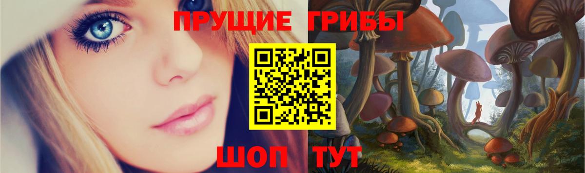 Пушкино  Галлюциногенные грибы ЛСД  Галлюциногенные грибы Cubensis  Вход с VPN 