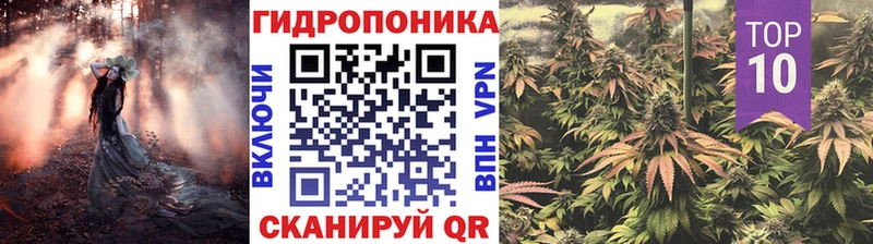 площадка клад Пушкино МАРИХУАНА OG Kush