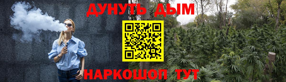 Бошки марихуана сатива  МАРИХУАНА планчик  Пушкино  Конопля LSD WEED 